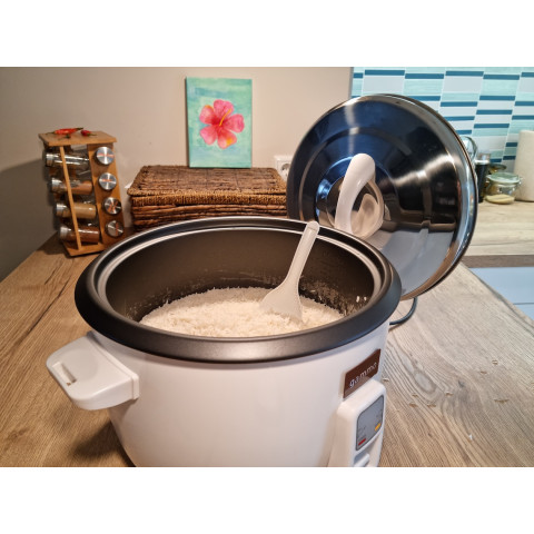 GAMMO električni kuhalnik za riž 10 l